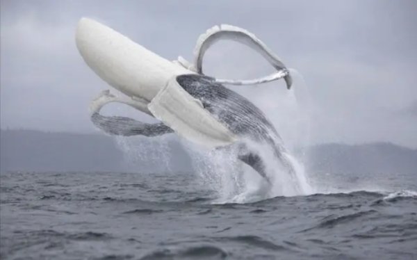 Funny Photoshop (32 pics)