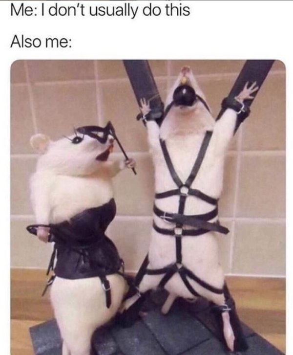 Dating Memes (30 pics)