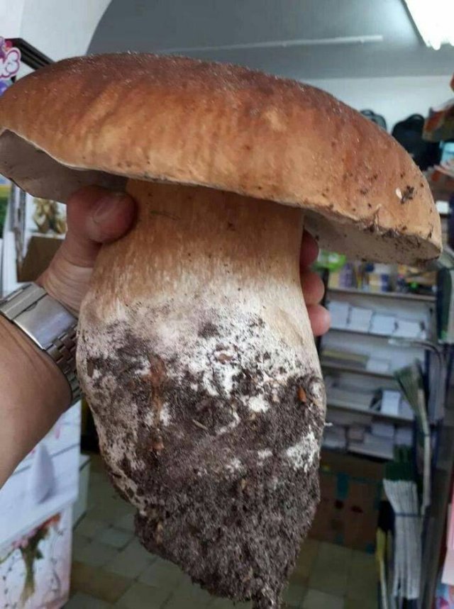 Acid Picdump. Part 1 (92 pics)