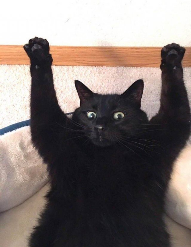 Acid Picdump. Part 1 (92 pics)