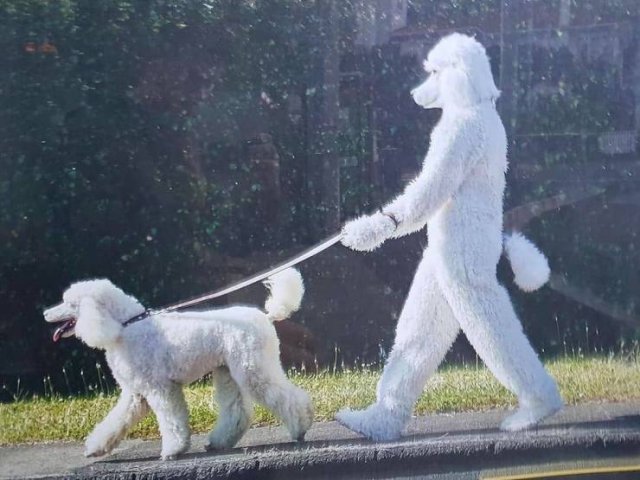 Acid Picdump. Part 1 (92 pics)