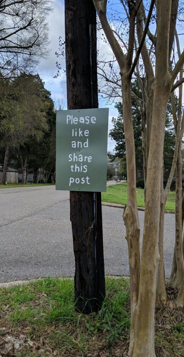 Acid Picdump. Part 2 (93 pics)