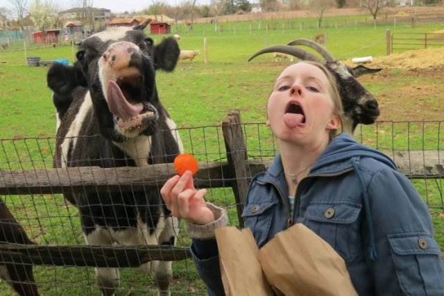 Acid Picdump. Part 1 (92 pics)