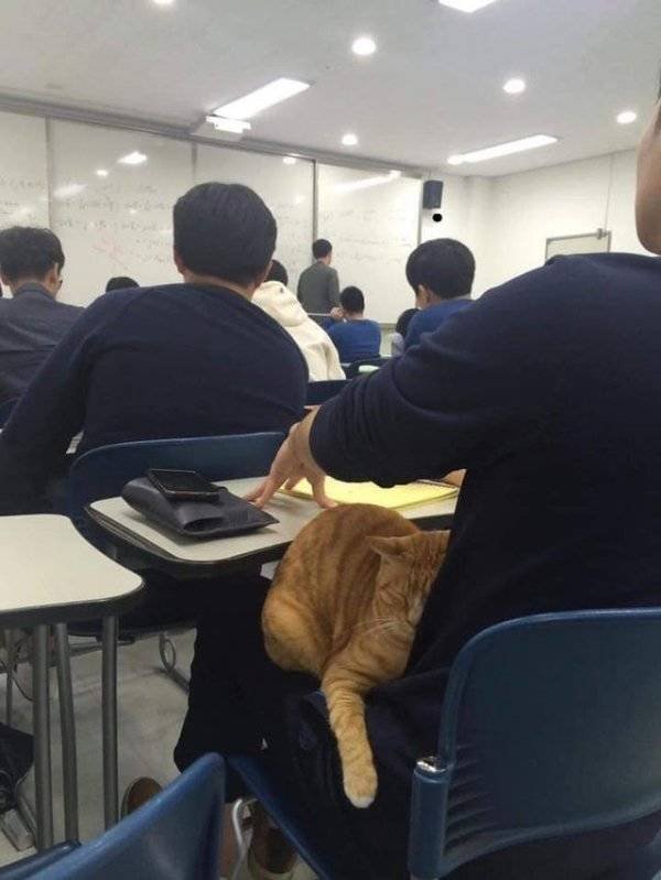 College Memories (55 pics)