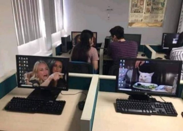 College Memories (55 pics)