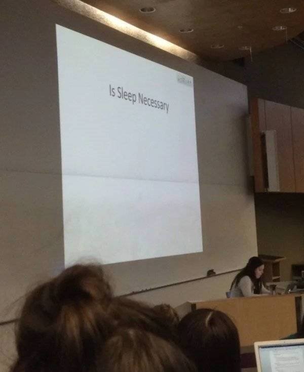 College Memories (55 pics)