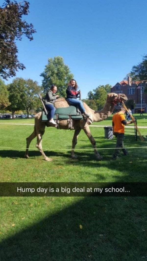 College Memories (55 pics)
