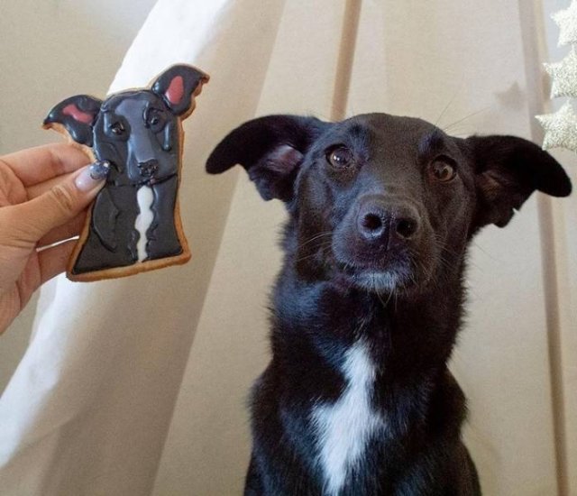 Amazing Baking (17 pics)