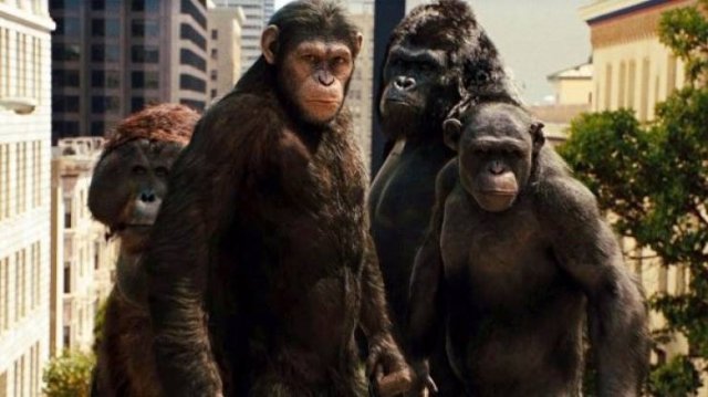 Financially Successful Movie Remakes (24 pics) Financially Successful Movie Remakes (24 pics)