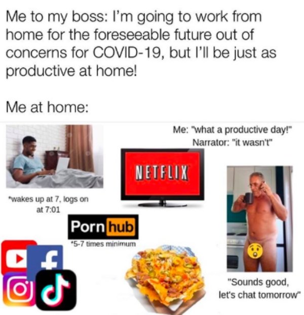Work From Home Memes (35 pics)
