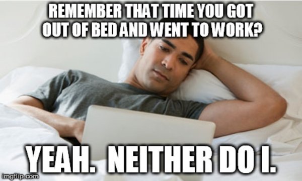 Work From Home Memes (35 pics)