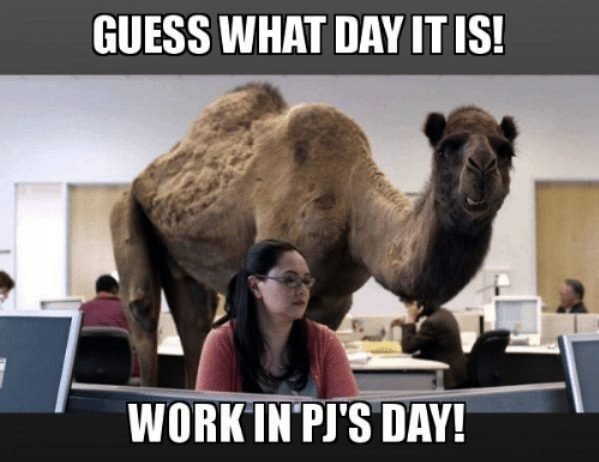 Work From Home Memes (35 pics)
