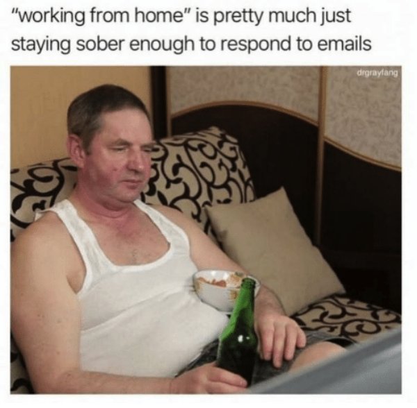 Work From Home Memes (35 pics)