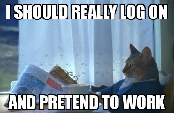 Work From Home Memes (35 pics)