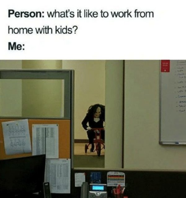 Work From Home Memes (35 pics)