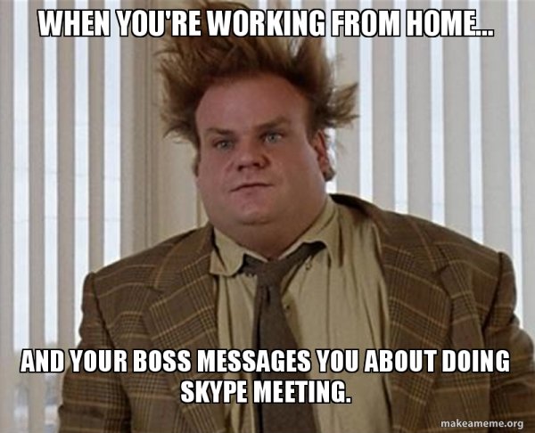 Work From Home Memes (35 pics)