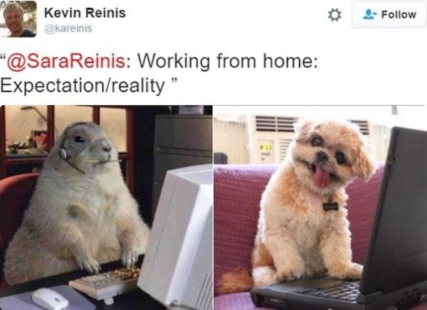 Work From Home Memes (35 pics)