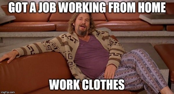 Work From Home Memes (35 pics)
