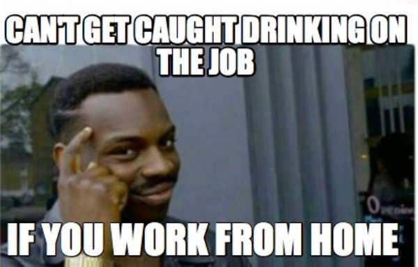 Work From Home Memes (35 pics)