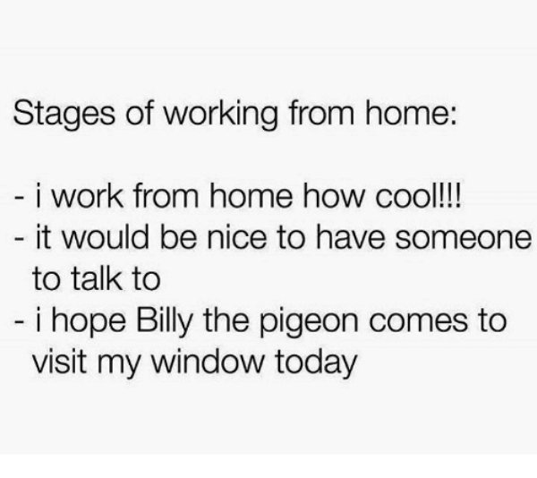 Work From Home Memes (35 pics)