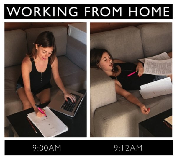 Work From Home Memes (35 pics)