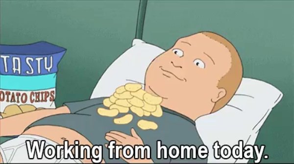 Work From Home Memes (35 pics)