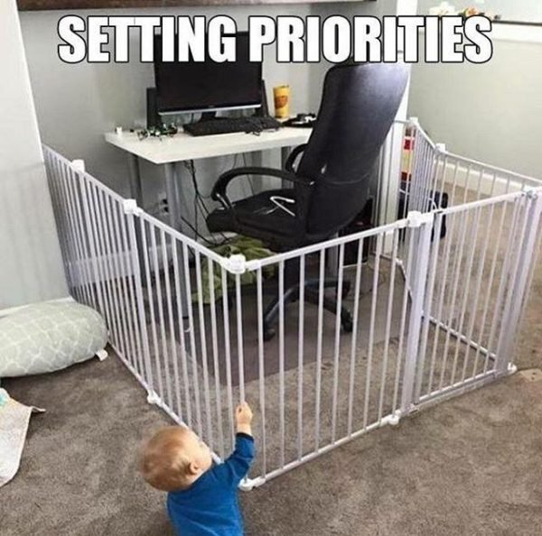 Work From Home Memes (35 pics)