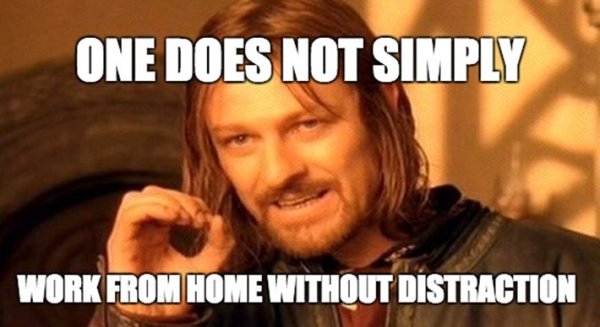 Work From Home Memes (35 pics)