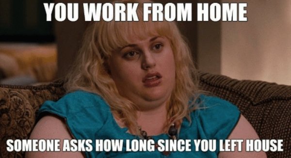 Work From Home Memes (35 pics)
