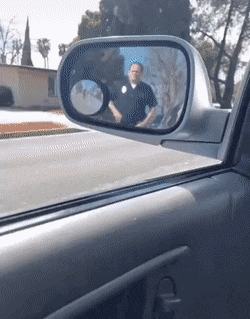 Acid Gifdump, March 12 (25 gifs)