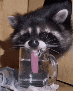 Acid Gifdump, March 12 (25 gifs)