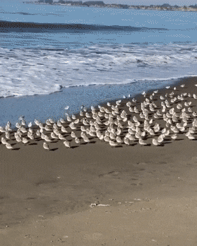 Acid Gifdump, March 12 (25 gifs)