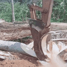 Acid Gifdump, March 12 (25 gifs)