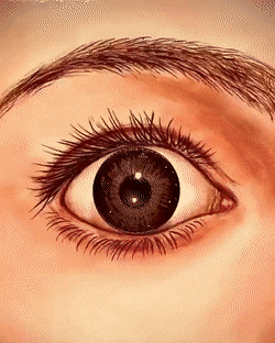 Acid Gifdump, March 13 (25 gifs)