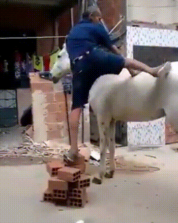 Acid Gifdump, March 13 (25 gifs)