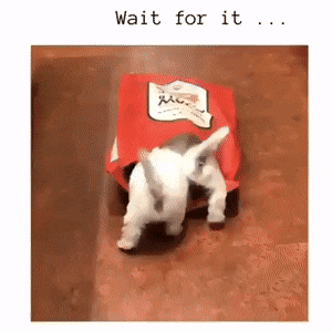 Acid Gifdump, March 13 (25 gifs)