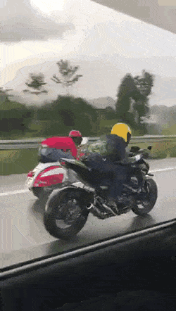 Acid Gifdump, March 13 (25 gifs)