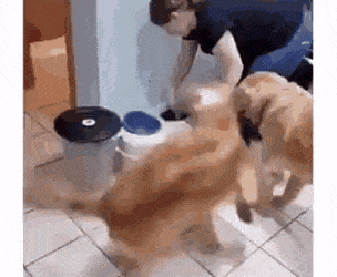 Acid Gifdump, March 13 (25 gifs)