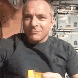 Acid Gifdump, March 13 (25 gifs)