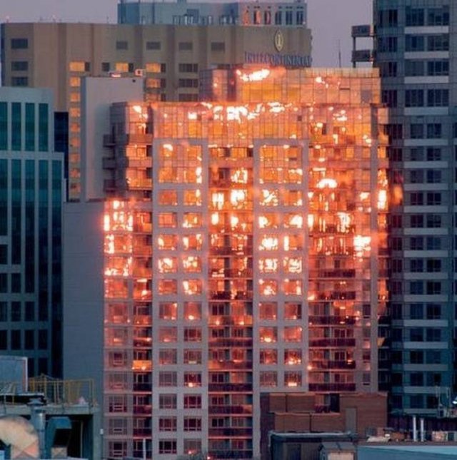 Look Twice (43 pics)