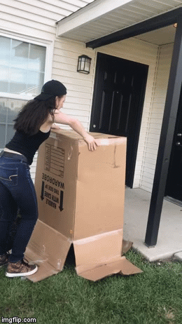 Fails (33 gifs)