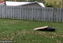 Fails (33 gifs)