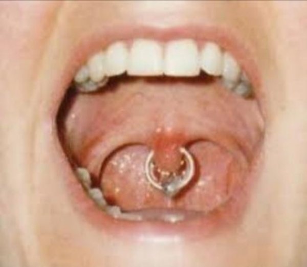 OMG Pictures (26 pics)