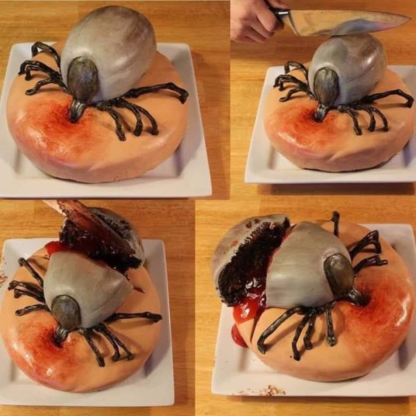 OMG Pictures (26 pics)