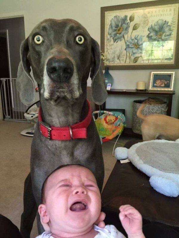 Acid Picdump. Part 2 (100 pics)