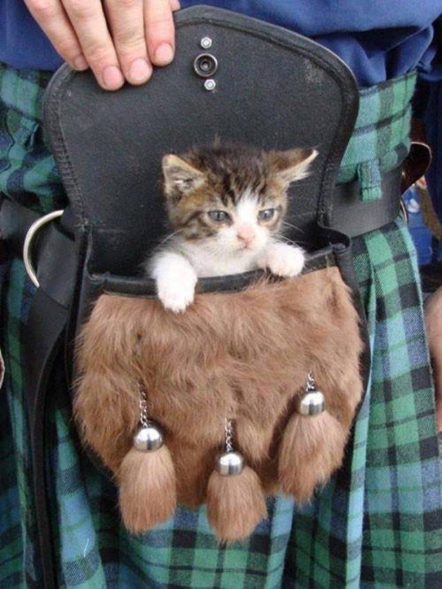 Acid Picdump. Part 2 (100 pics)