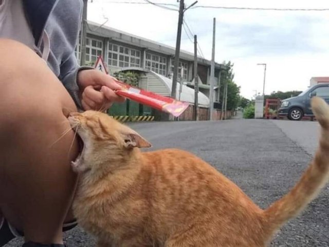 Acid Picdump. Part 2 (100 pics)