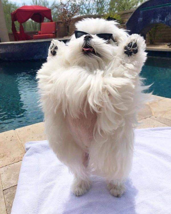Acid Picdump. Part 2 (100 pics)