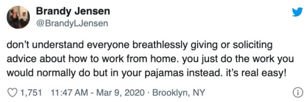 Working From Home Has Its Perks (23 pics)