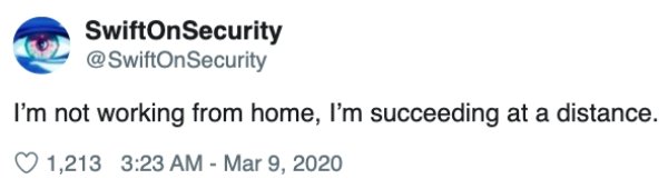 Working From Home Has Its Perks (23 pics)